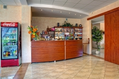 ZAJAZD POD SOSNAMI BEREZKA