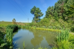 ZAJAZD POD SOSNAMI BEREZKA